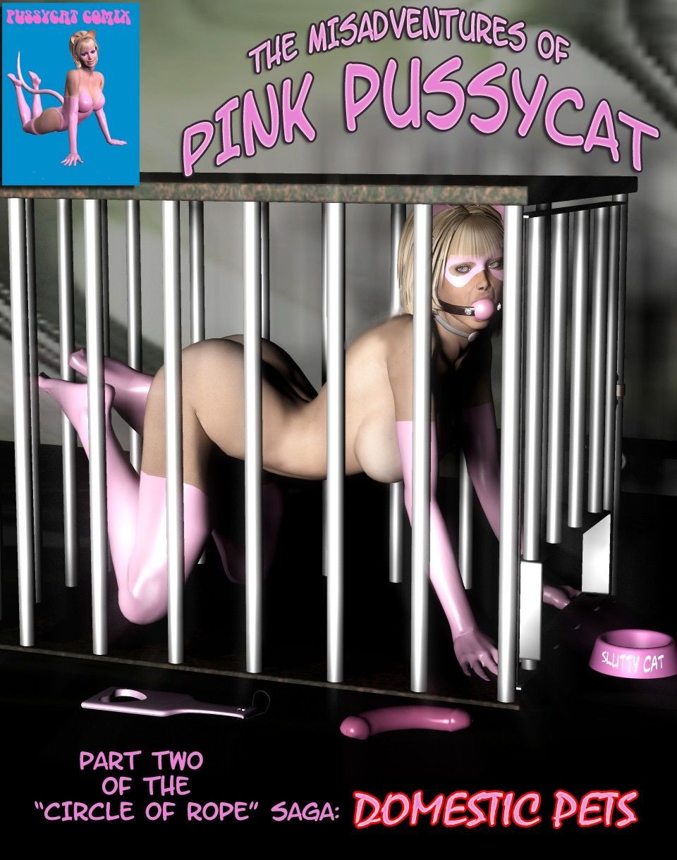 desventuras de Cor-de-rosa pussycat 2
