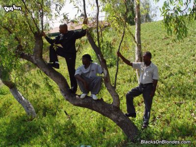 الشباب شقراء وقحة يحصل Gangbanged :بواسطة: الأسود الرجال في مشجرة الفناء الخلفي