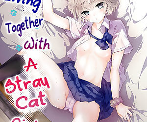 noraneko hoạt hình phải không kurashikata ch. 16 sống cùng nhau với một đi lạc con mèo :cô gái: ch. 16