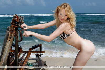 Glamour modelo Lina B leva fora ela Biquini topo para ir Nude no o Praia