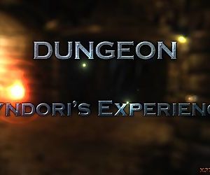 Dungeon 3 - Syndoris Experience